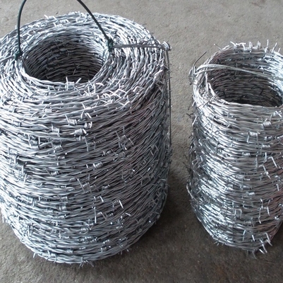25kg 진열된 철무선 면도무선